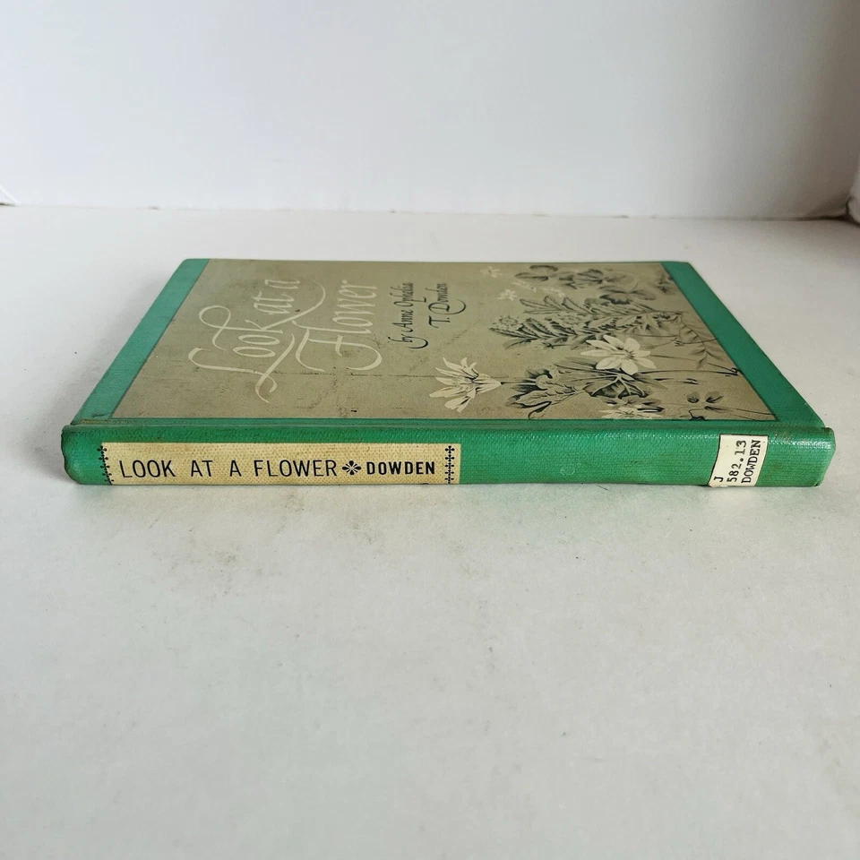 Look At A Flower - Anne Ophelia T. Dowden (1963, Hardcover) Vintage Botany - Image 3 of 4
