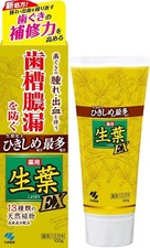 Kobayashi Shoyo EXa Toothpaste Extra 100 g