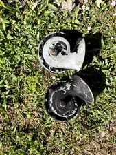 Jaguar XKE Etype V12  Pair of Good Original Lucas Horns Stored forYears.  $75