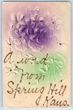 c1908 Kansas KS Vintage Postcard Word From Spring Hill Embossed Glittered Posted