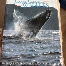 JACQUES COUSTEAU--WHALES BY JACQUES YVES COUSTEAU By Yves Paccalet - Hardcover