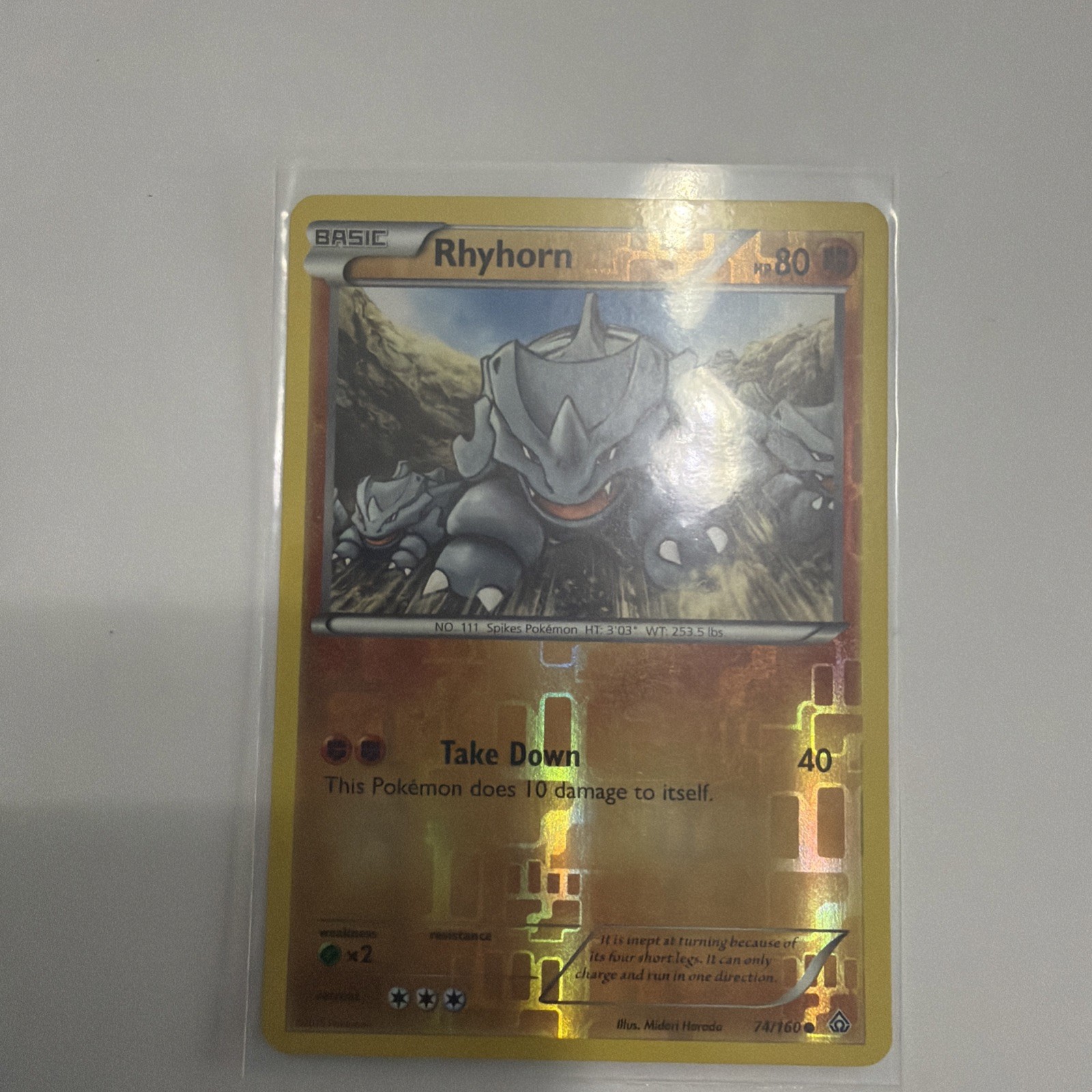 Rhyhorn - XY - Primal Clash 74/160 Common Reverse-Holo Pokemon TCG
