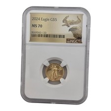 2024 American 1/10 Oz Gold Eagle Coin Ngc Ms70 Perfect Grade