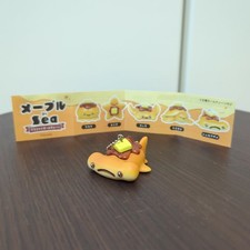 Maple sea hammerhead shark