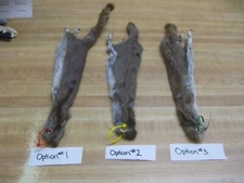 Canadian Red Squirrel Tanned Fur  - Craft - Green Tag