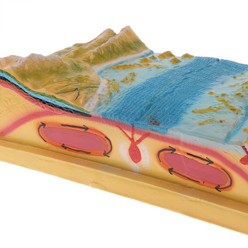 Kit de Modèle D'affichage de Croûte Terrestre de Terrain de Tectonique de - Photo 5/6