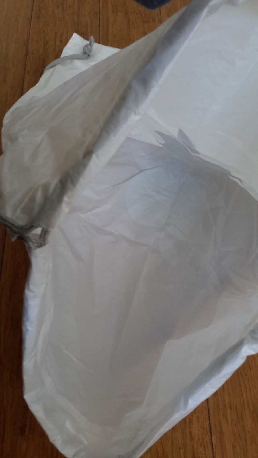 Apple Sackpack White/Silver Drawstring Athletic G… - image 8