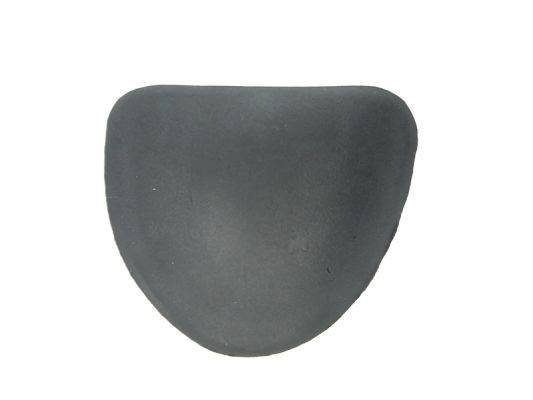 Right Front BLIC 5703-04-2031580P Trim/Protection Strip, wing for FIAT