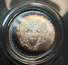 2002 American Silver Eagle 1oz Silver Coin, With Beautiful Toning Littleton Pack