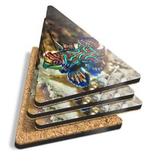 4x Triangle Coasters - Mandarinfish Tropical Madarin Fish #45666