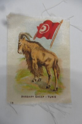 Chrom Bild auf Stoff Band - Tunesien - Ziege - Barbary Sheep