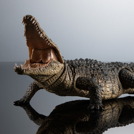 ゴールド尾錠 カミーユフォルネ製 カイマンとアリゲーターの2本セットクロコダイル NEW The Diversity of Life on Earth Ultimate Nile Crocodile Light