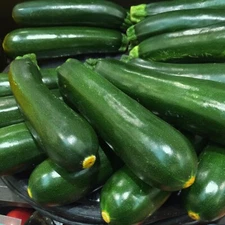 Zucchini Seeds, Dark Green Heirloom, Non-GMO, High Yield, Free Shipping