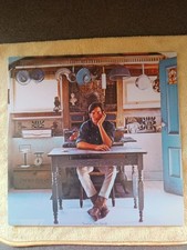 Townes Van Zandt. Self Titled Vinyl LP Record Album.