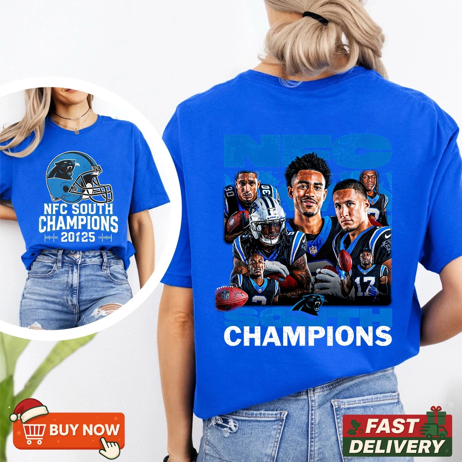 Panthers NFC North Division Champions Shirt