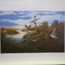 Donald Blakney, Morning Mallards Unframed Duck Print S/N 378/500