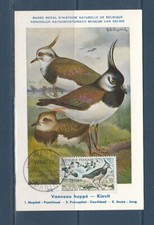 carte  1er jour  oiseau  le  Vanneau   75  Paris   1960