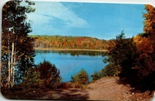 Chrome Postcard Lake and Birch Trees Vacationland Scene UNP
