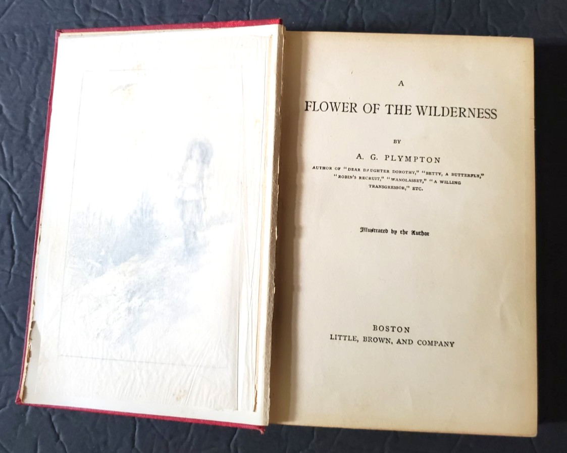 Flower of the Wilderness Book by A.G. Plympton, Copyright 1899, University Press