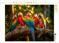 Calvendo Puzzle Zusammenhalten | 1000 Teile Lege-GrößE 64 × 48 Cm Foto-Puzzle Fü