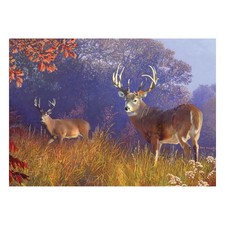 River's Edge Products Jigsaw Puzzle, 1000 Piece Puzzle in Tin, 28 by 20 Inches,