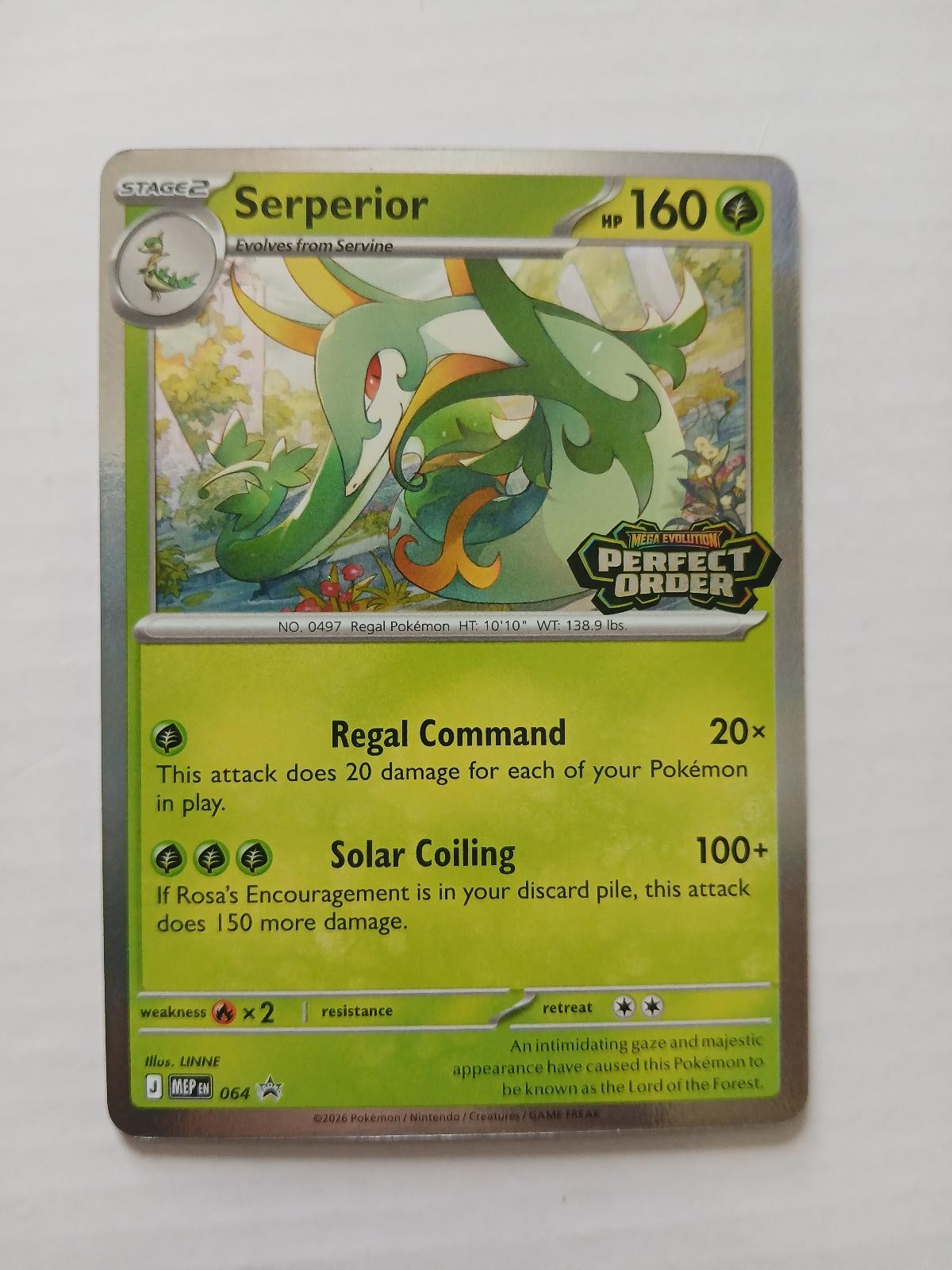 Serperior 064 Promo ME: Mega Evolution Promo Pokemon Holo Near Mint