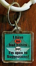 I Have No Bad Habits But I'm Open To Suggestions! - Key Chain NOS Key Ring