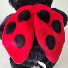 Bild 9 von 15