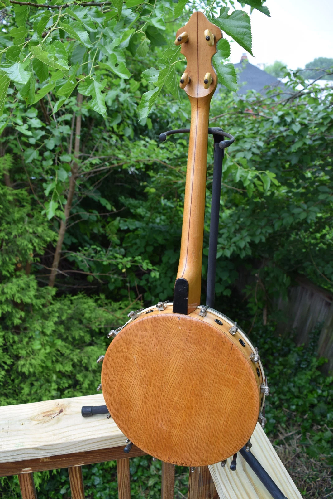Picture 5 of 8