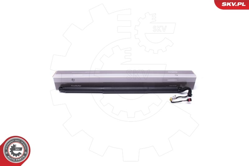 Moteur électrique de hayon bloqué ? Commandez le 52SKV944 ESEN SKV