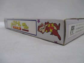 [Famicom] Chip 'n Dale Rescue Rangers [Box and manual ] No. 10716