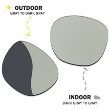 Photochromic 1.5MM Replacement Lenses for Ray-Ban RW4009 50mm - Non Polarized