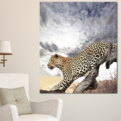 Designart ''Leopard on Tree under Cloudy Sky'' African Wall  Mini