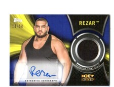 2018 Topps WWE NXT Wrestling Cards 14
