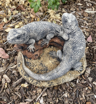Bearded Dragon Lizard Garden Statue Ornament Animal Concrete