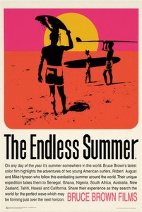 The Endless Summer | eBay