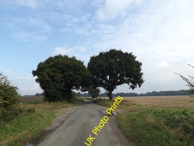 Foto 12x8 Long Lane, Mill Green Mill Green\/TM1384 c2016