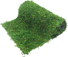 Moss Table Runner Dried Moss for Crafts Green Moss Roll for Fairy Gardens Wed...