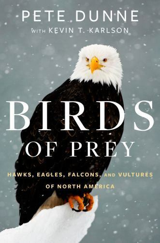 A List Of Birds Of Prey Or Raptors - WorldAtlas