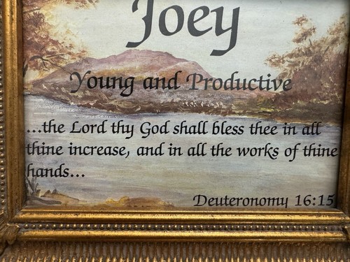 JOEY - YOUNG & PRODUCTIVE - Deuteronomy 16:15 GOLD FRAMED 8"X10" - Picture 2 of 5