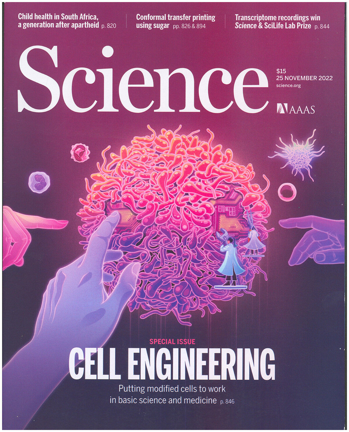 Science Magazine: Cell Engineering (25 November 2022)