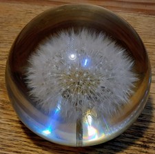 Vintage Hafod Grange Dandelion Flower Resin Paperweight Globe Ball