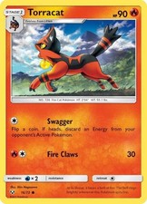 Torracat (16)