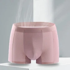 Sexy Men's Lightweight Panties Comfortable Mesh Large Size Summer Boxer Shorts