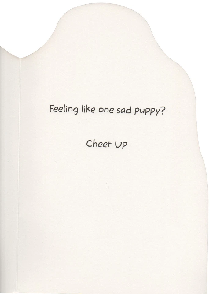 Jumbo GET WELL Card, "Cheer Up" Funny Basset Hound Dog by American Greetings + ✉ - Image 2 of 4
