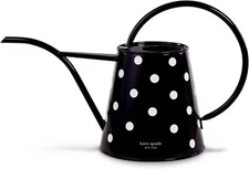 2.5L Indoor Watering Can,Metal Watering Can for House Plants,Cute Gardening Tool