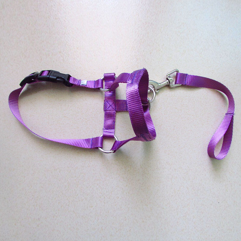 Dog Training Head Collar Halter Stop Pulling Training Tool Harness