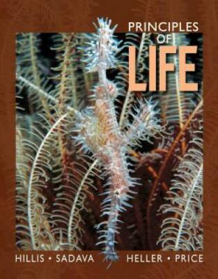 Principles of Life High School Edition - Hardcover By Hillis, David M. - GOOD