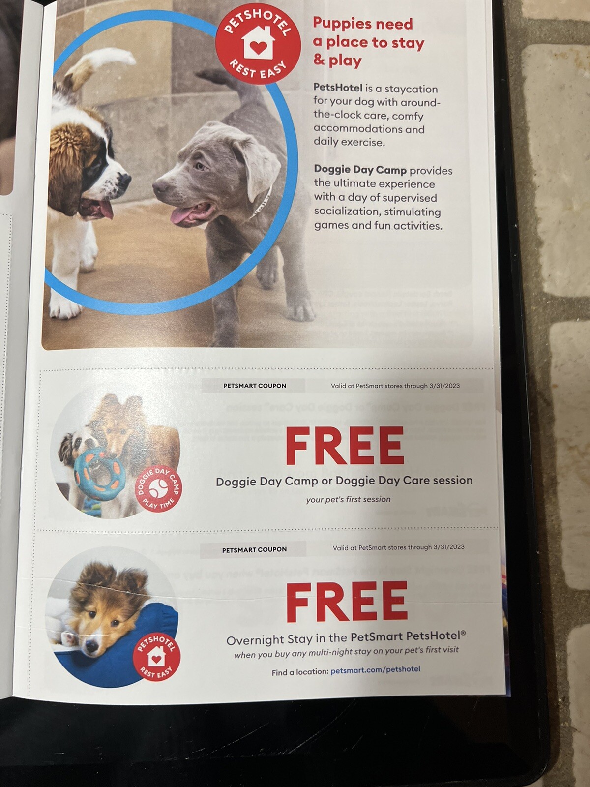 petsmart hotel coupon