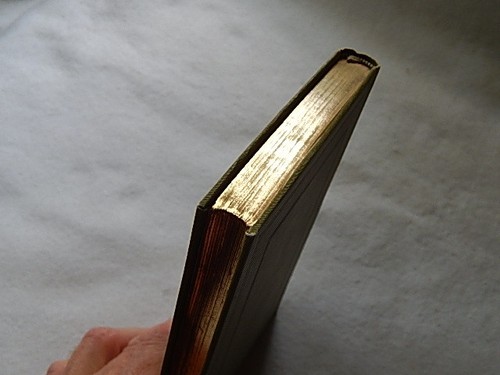 Vintage Naive Welt by Eduard Hiller-Publisher Lutz-1893 - Picture 4 of 10